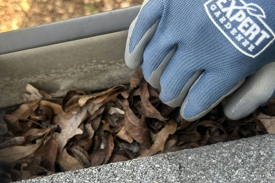 Gutter Cleaning Midway