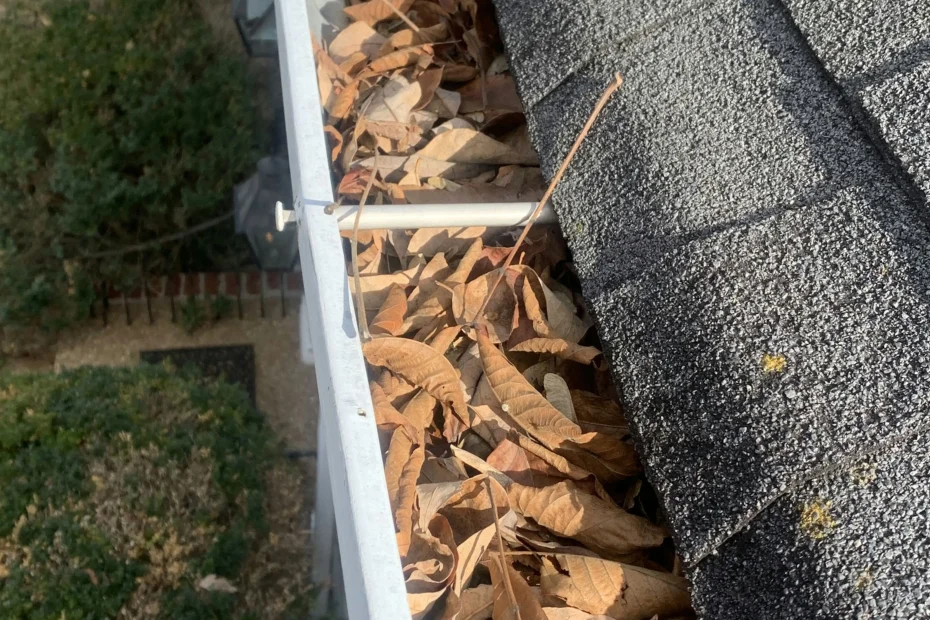 Gutter Cleaning Midway